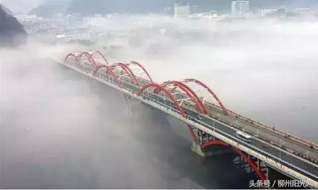 柳州车牌有哪些，柳州你就是个B难怪车牌叫桂B