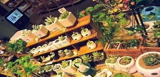 沈阳最火的书店，沈阳文艺范书店新地图