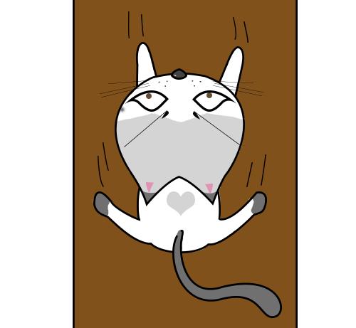 轻断食的正确方法，轻断食的正确方法16小时