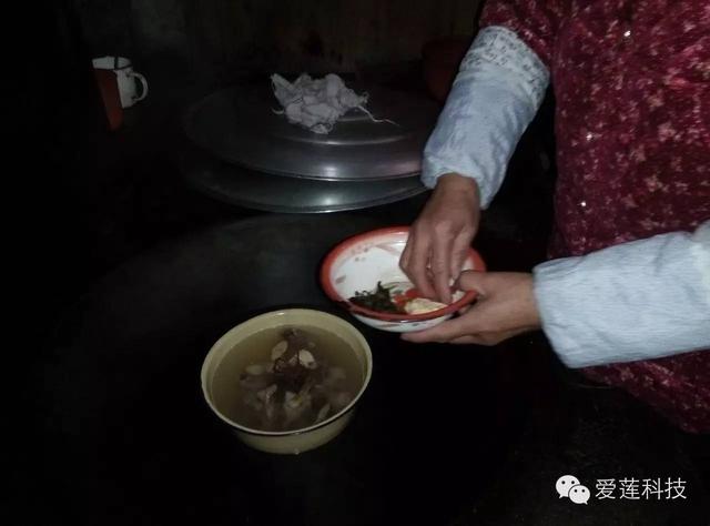金线莲煲汤大全，新鲜金线莲炖汤最佳搭配