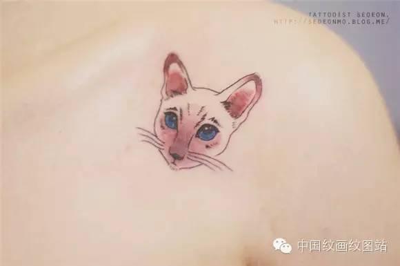 贵族猫纹身图，60张宠物爱好者的猫咪纹身照片