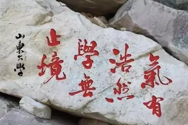 名校校训其中有你心仪的吗，热播剧《天才基本法》里的“三味大学”校训