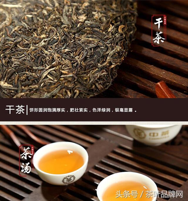 普洱茶算是黑茶吗为什么，普洱属于哪种茶