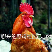 鸡什么目的四字成语，关于动物的成语大全丨可下载打印