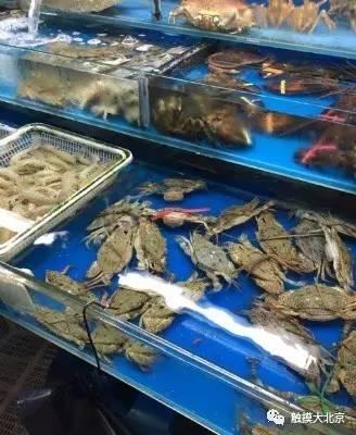 北京年货集市在哪，春联、年货、小吃……海淀四季青这个大集开了