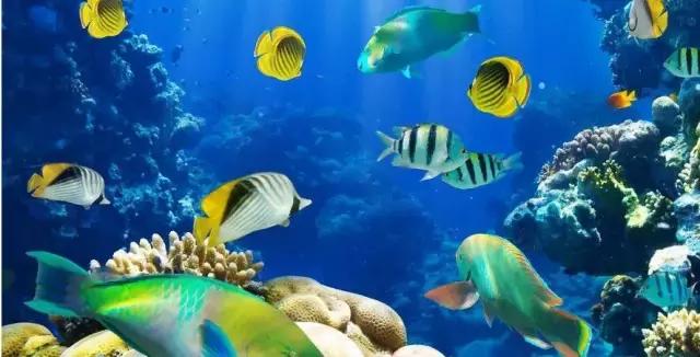 上海旅游必去景点推荐图文，上海本地100个游玩景点列表