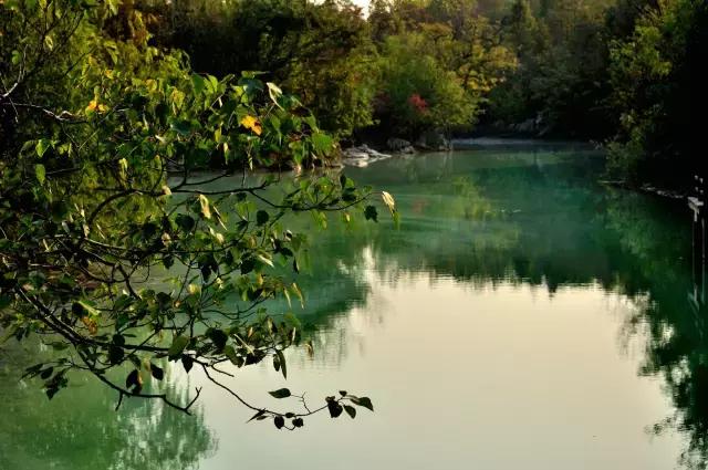 上海旅游必去景点推荐图文，上海本地100个游玩景点列表
