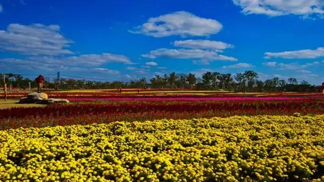 上海旅游必去景点推荐图文，上海本地100个游玩景点列表
