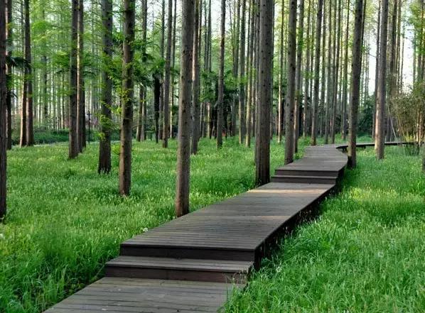 上海旅游必去景点推荐图文，上海本地100个游玩景点列表