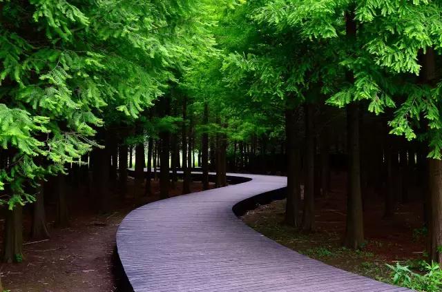 上海旅游必去景点推荐图文，上海本地100个游玩景点列表