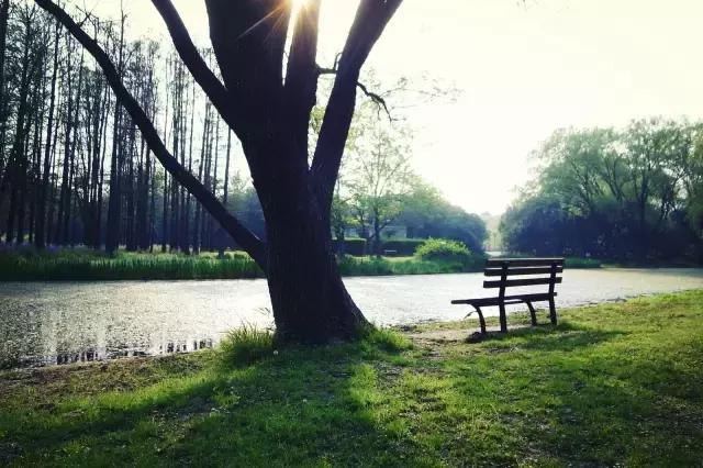 上海旅游必去景点推荐图文，上海本地100个游玩景点列表