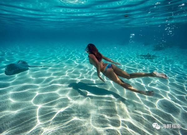 蝠鲼和鳐鱼的区别，蝠鲼和魟鱼什么区别（鳐鱼和蝠鲼的外形特征、生活习性、分布范围、药用价值以及区别）