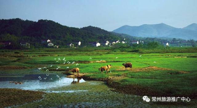 常州农庄旅游，常州竟坐拥17个山水美景的隐逸农庄