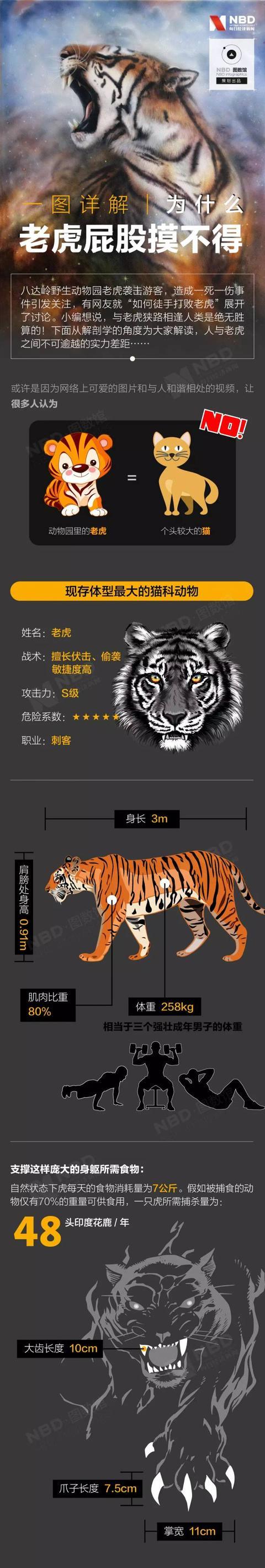 盘点老虎伤人事件，3天2起老虎咬死饲养员事件令人痛心