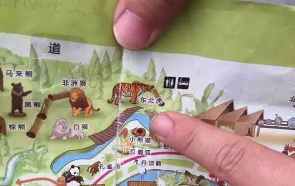 盘点老虎伤人事件，3天2起老虎咬死饲养员事件令人痛心