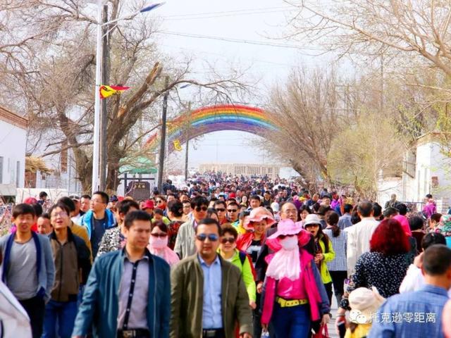 今年托克逊县杏花节是否有，盼望着盼望着托克逊杏花季就要来啦