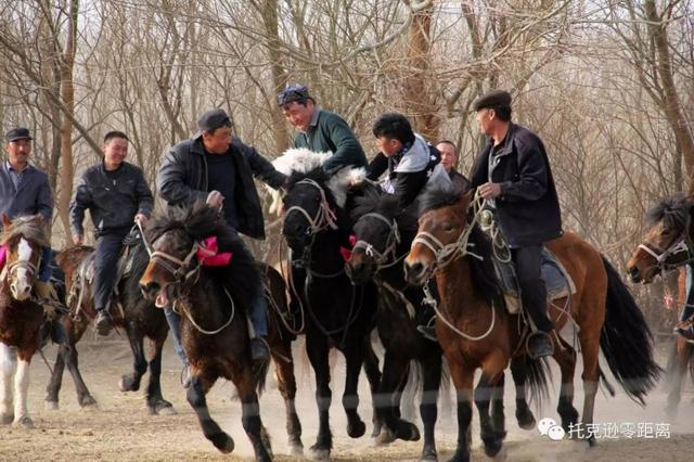 今年托克逊县杏花节是否有，盼望着盼望着托克逊杏花季就要来啦