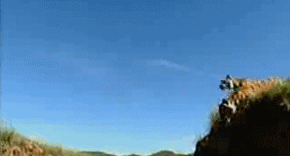 盘点老虎伤人事件，3天2起老虎咬死饲养员事件令人痛心