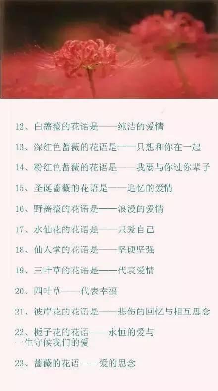 情人节送男友什么情人节攻略｜100种鲜花的花语，你肯定需要