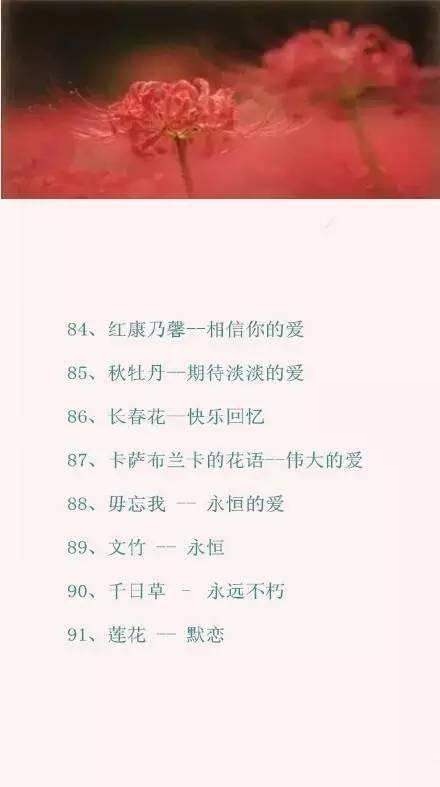 情人节送男友什么情人节攻略｜100种鲜花的花语，你肯定需要