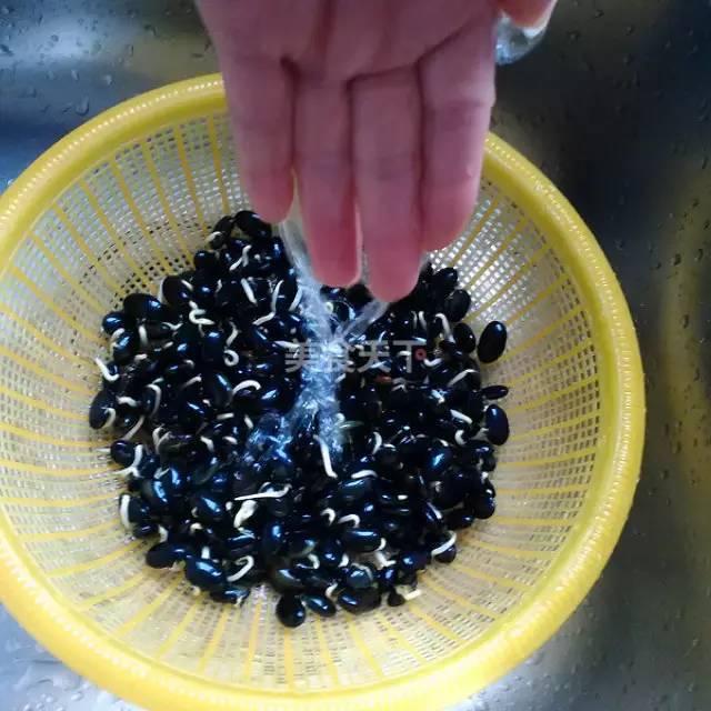 蔬菜菜谱大全家常菜教程，菜谱合集春来到