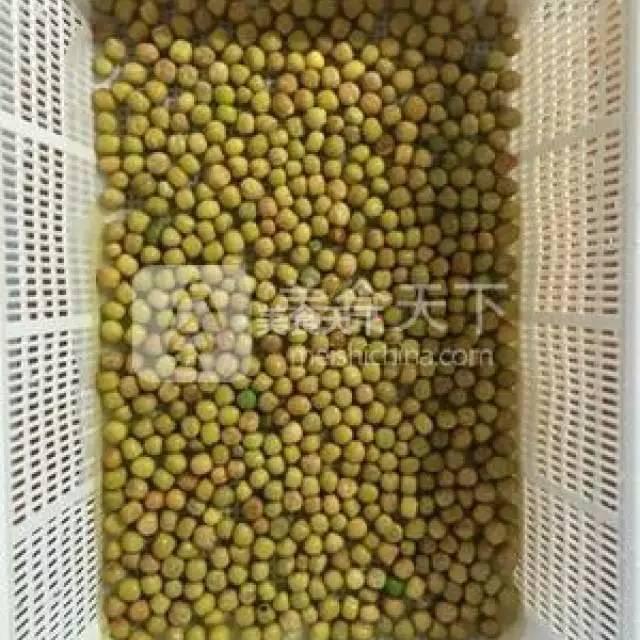 蔬菜菜谱大全家常菜教程，菜谱合集春来到