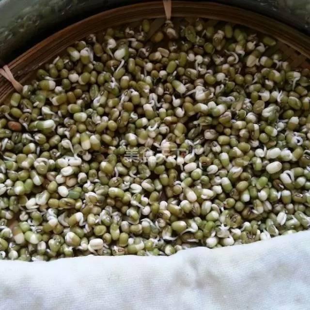 蔬菜菜谱大全家常菜教程，菜谱合集春来到