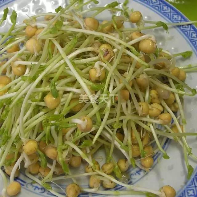 蔬菜菜谱大全家常菜教程，菜谱合集春来到