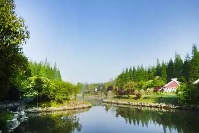 上海旅游必去景点推荐图文，上海本地100个游玩景点列表