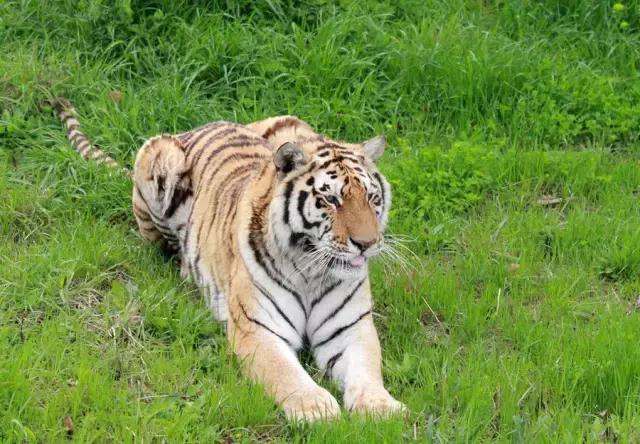 上海旅游必去景点推荐图文，上海本地100个游玩景点列表