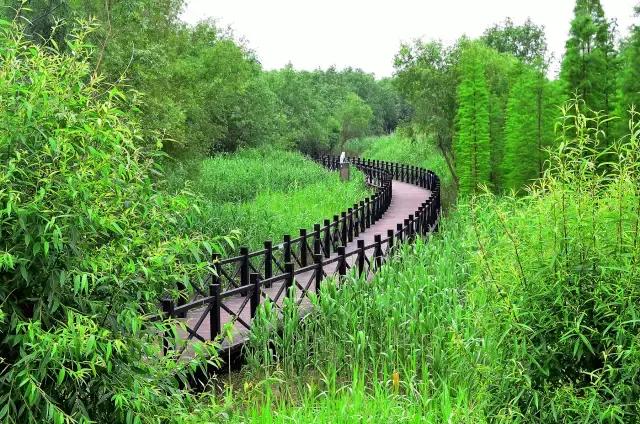 上海旅游必去景点推荐图文，上海本地100个游玩景点列表