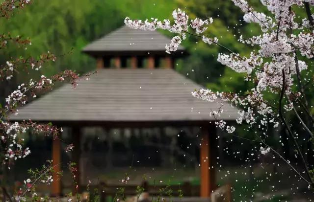 上海旅游必去景点推荐图文，上海本地100个游玩景点列表