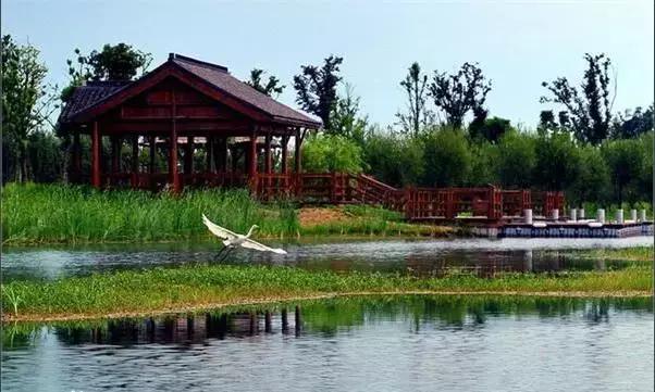 上海旅游必去景点推荐图文，上海本地100个游玩景点列表