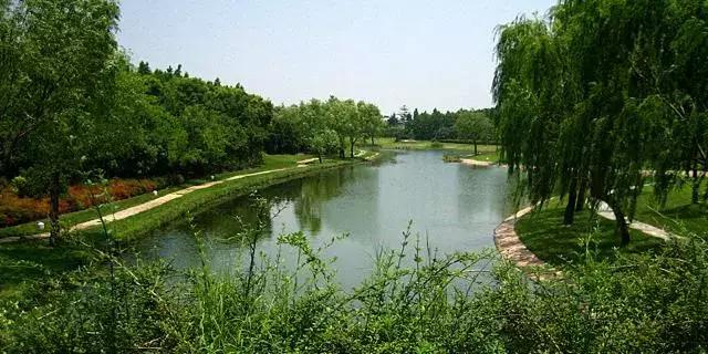 上海旅游必去景点推荐图文，上海本地100个游玩景点列表