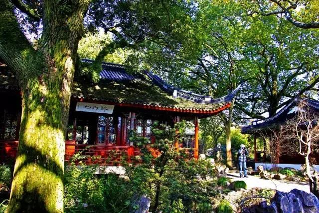 上海旅游必去景点推荐图文，上海本地100个游玩景点列表