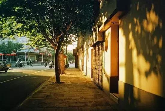 上海旅游必去景点推荐图文，上海本地100个游玩景点列表