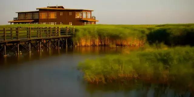 上海旅游必去景点推荐图文，上海本地100个游玩景点列表