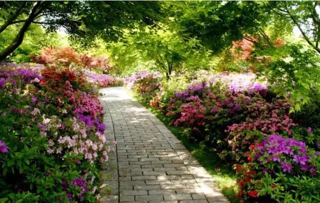 上海旅游必去景点推荐图文，上海本地100个游玩景点列表