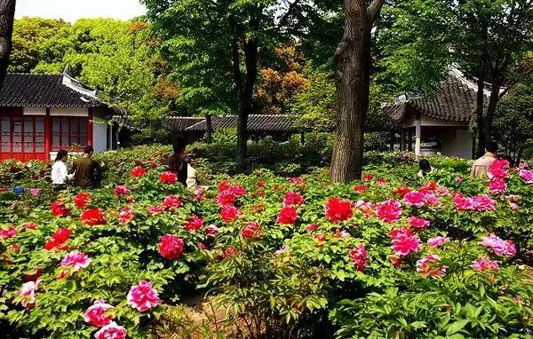 上海旅游必去景点推荐图文，上海本地100个游玩景点列表