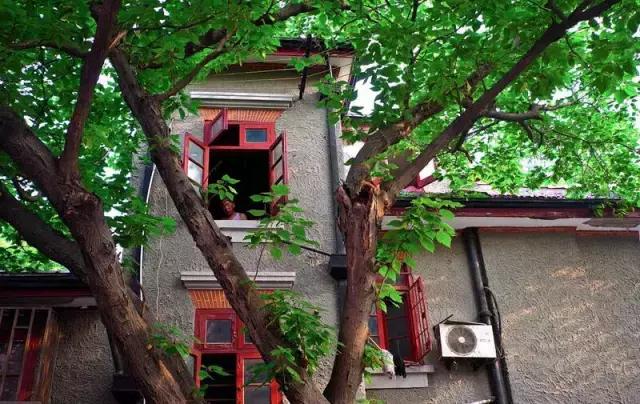 上海旅游必去景点推荐图文，上海本地100个游玩景点列表