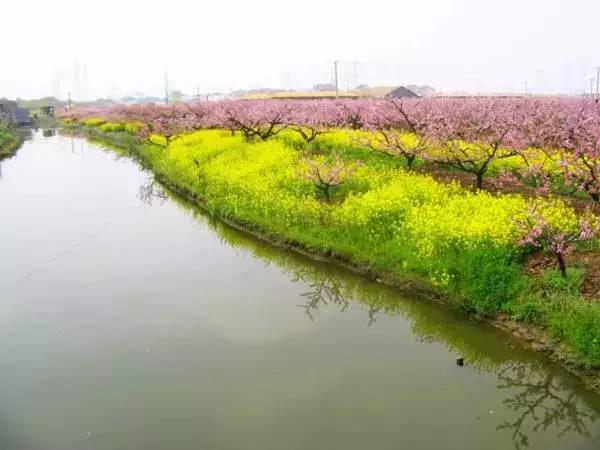 上海旅游必去景点推荐图文，上海本地100个游玩景点列表