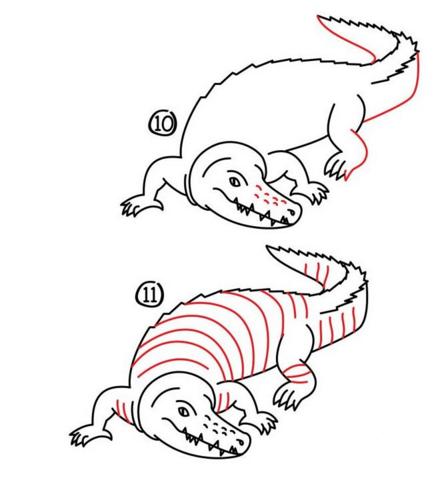 鳄鱼的简单画法，简笔画：教你如何画鳄鱼