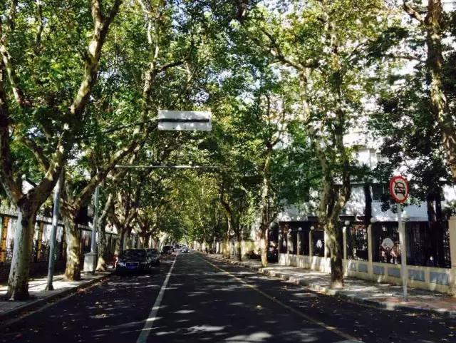 上海旅游必去景点推荐图文，上海本地100个游玩景点列表