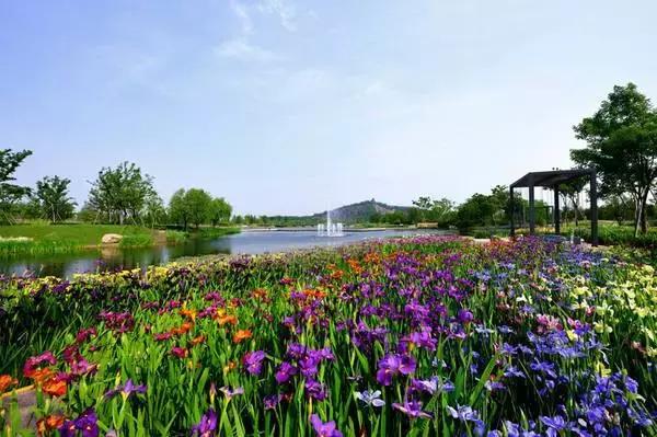 上海旅游必去景点推荐图文，上海本地100个游玩景点列表