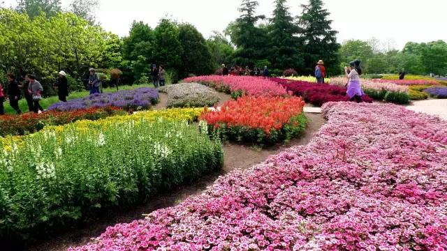 上海旅游必去景点推荐图文，上海本地100个游玩景点列表