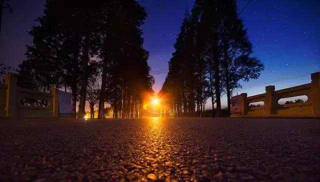 上海旅游必去景点推荐图文，上海本地100个游玩景点列表