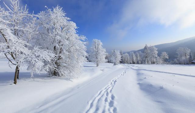 梦见大雪插图2