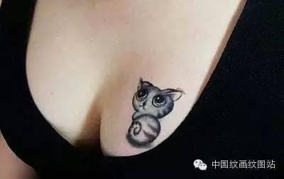 贵族猫纹身图，60张宠物爱好者的猫咪纹身照片