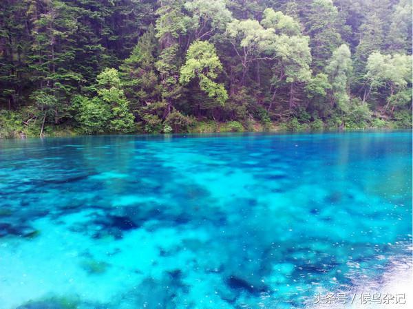 九寨沟游玩攻略，收藏这篇就够了（九寨沟自由行全攻略）