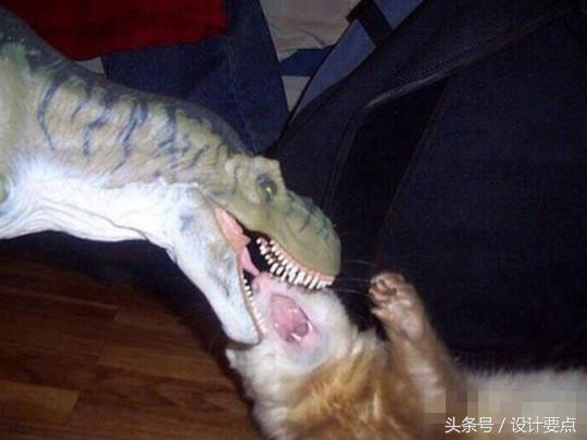 我内心毫无波澜，但其实我的内心毫无波澜